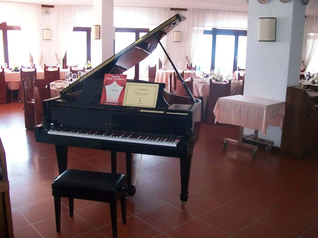 Royal Sporting Hotel - Général