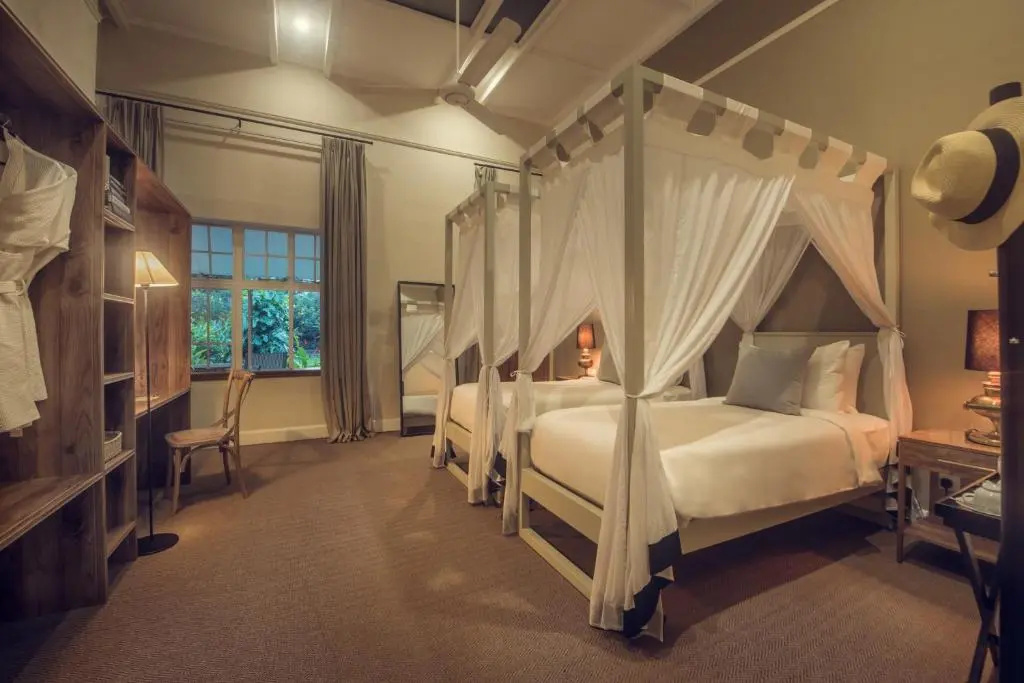 Standard Double room (twin beds)