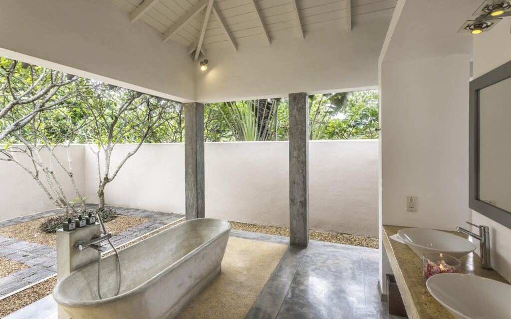 The Frangipani Tree By Edwards Collection