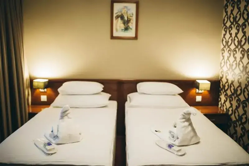 Double room (twin beds)