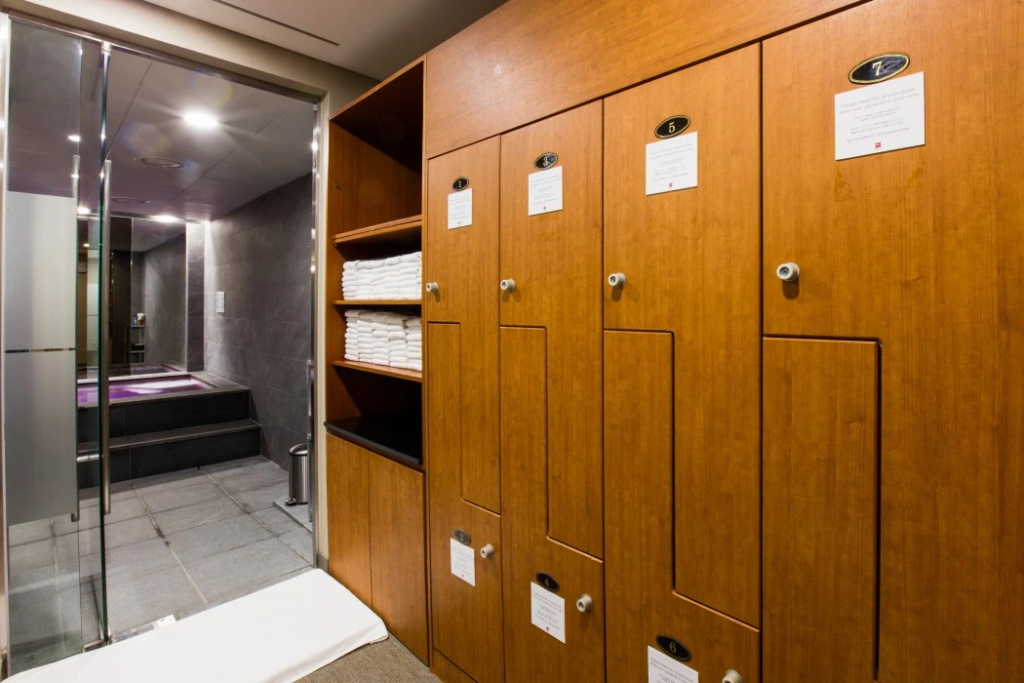 ibis Ambassador Seoul Myeongdong - Général