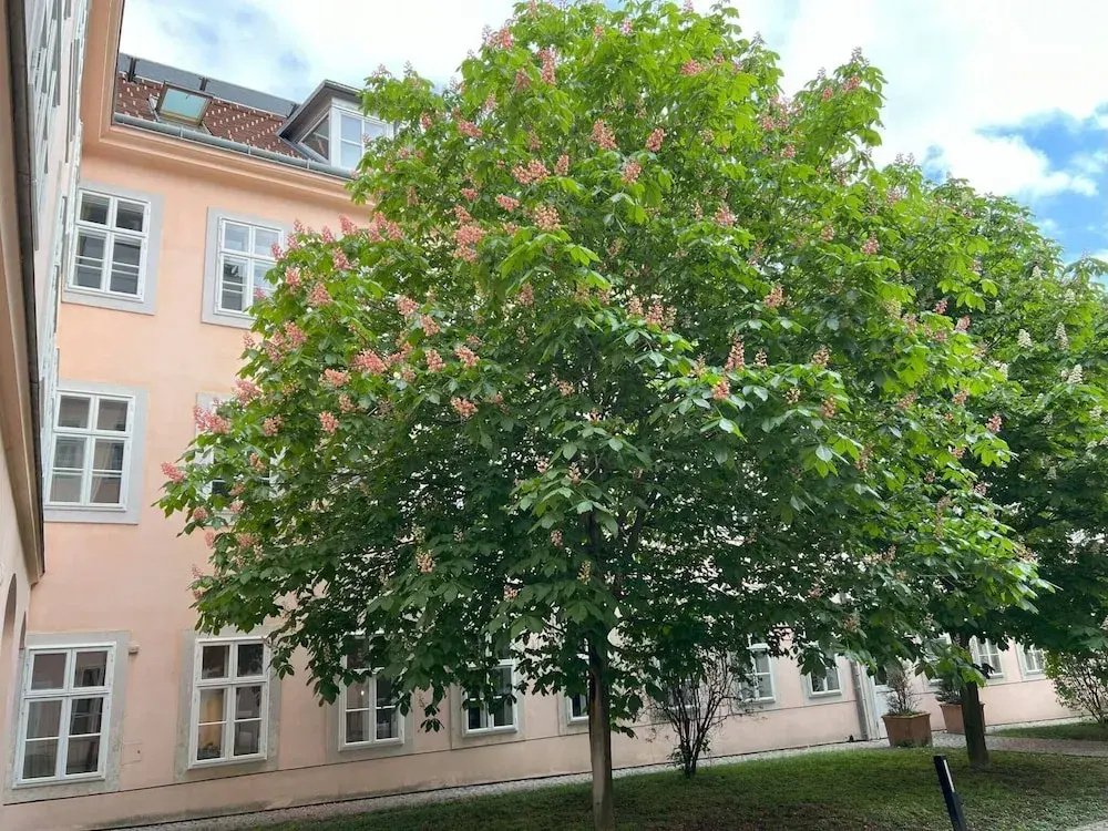 Chic Apartment Right by the Museum Quarter