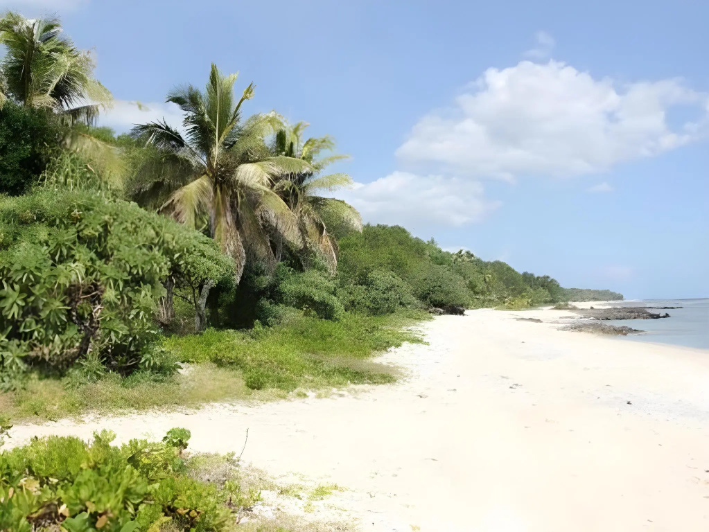 Alofa Beach Bungalows - Général