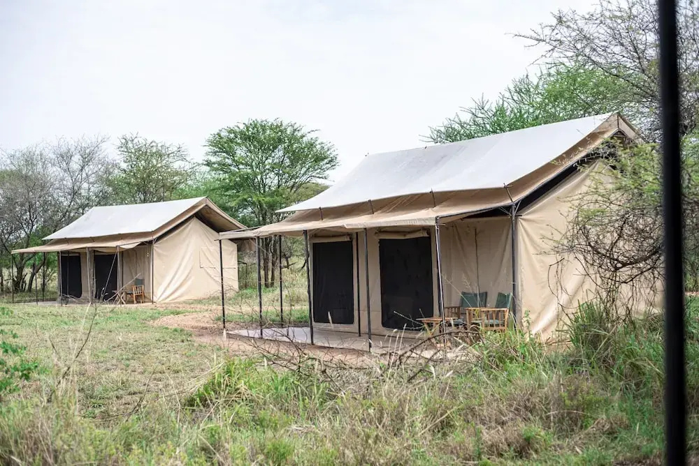 Maisha Serengeti Camps
