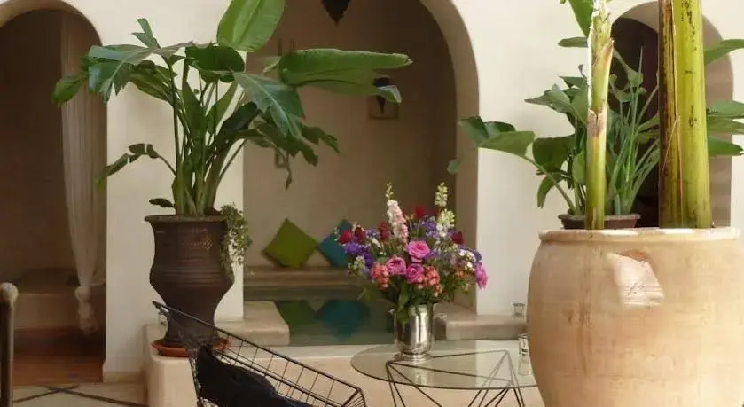 Riad Le Nid De La Colombe - Général
