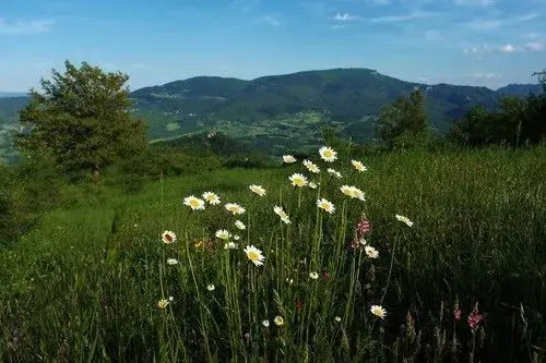 Agriturismo Terrazza sul Parco