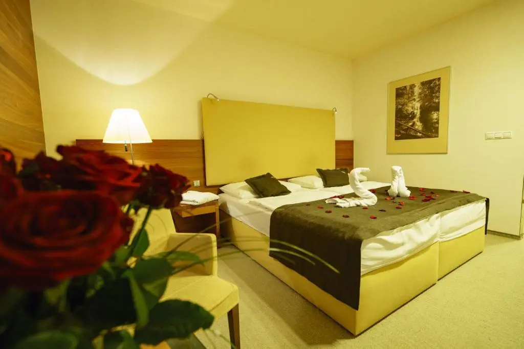 Hotel AquaCity Mountain View - Chambres