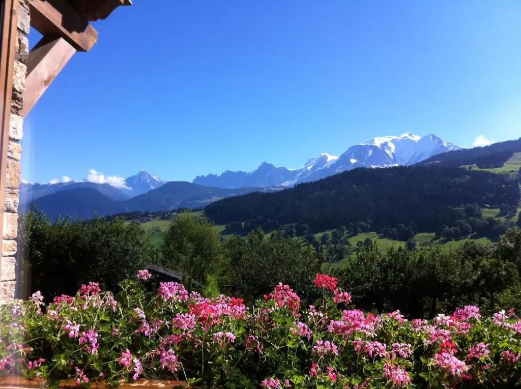 Chambres DHtes Eternel Mont-Blanc
