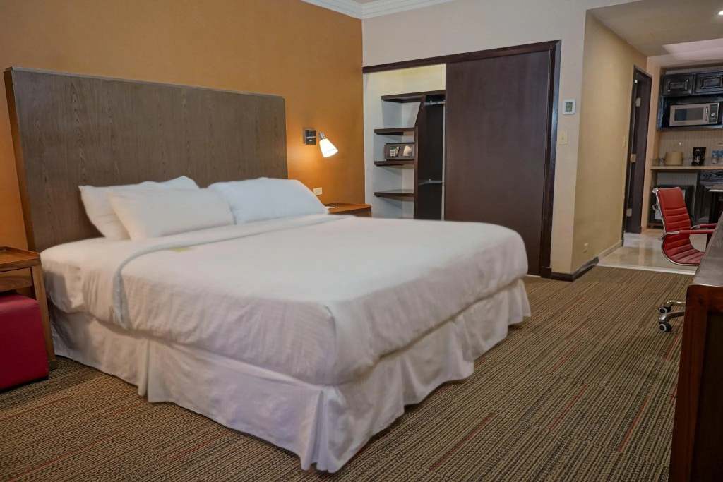 Deluxe Double room (full double bed)