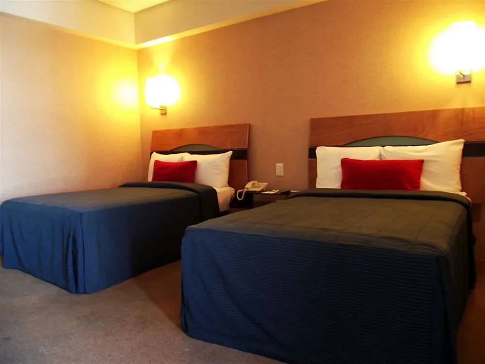 Hotel Colon Plaza Business Class - Général