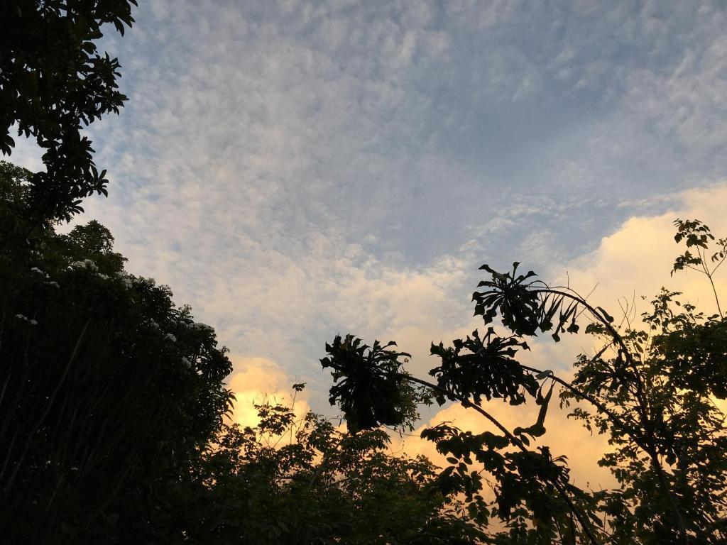 Open Sky