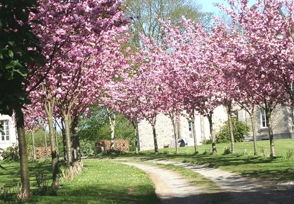 Au Château