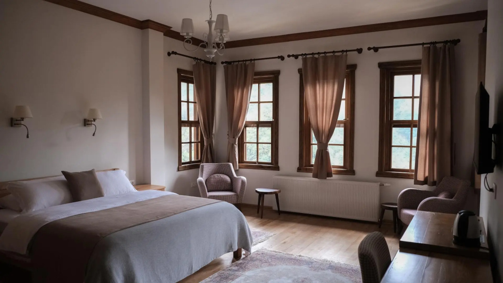 Standard Double room with mountain view (full double bed)