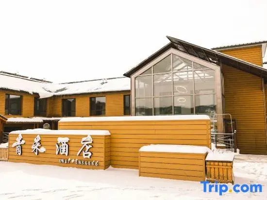 Hotel photo 11
