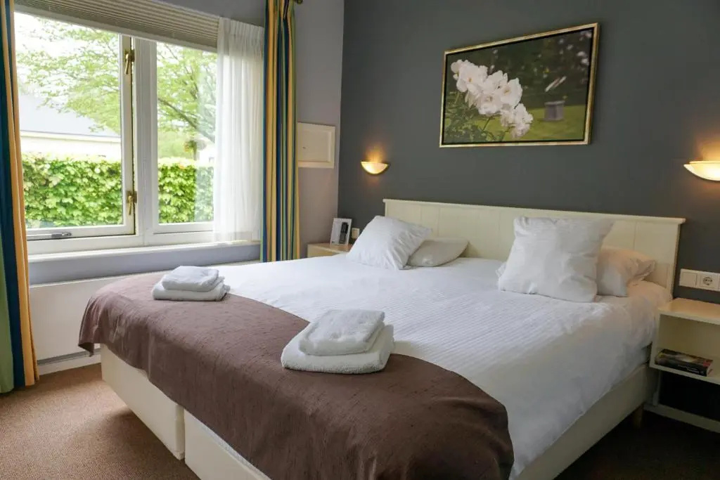 Deluxe Double room (full double bed)