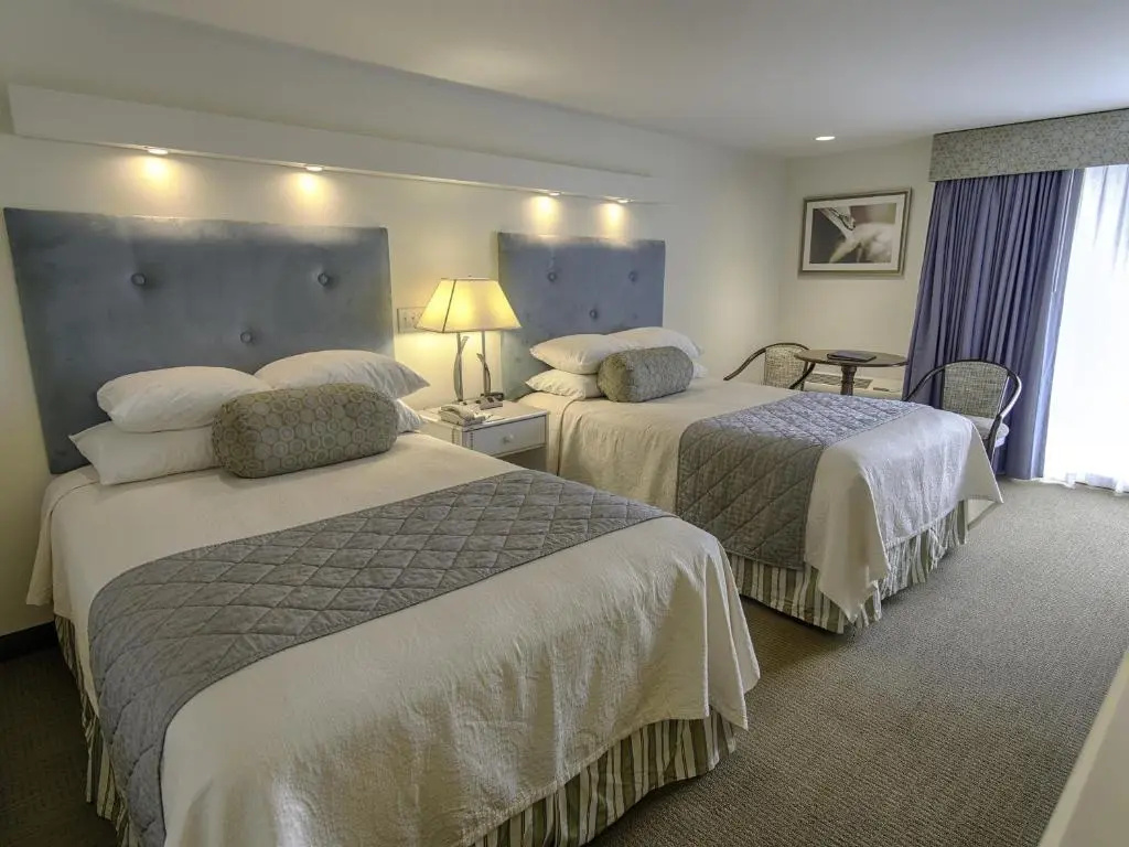 Standard Quadruple room with ocean view