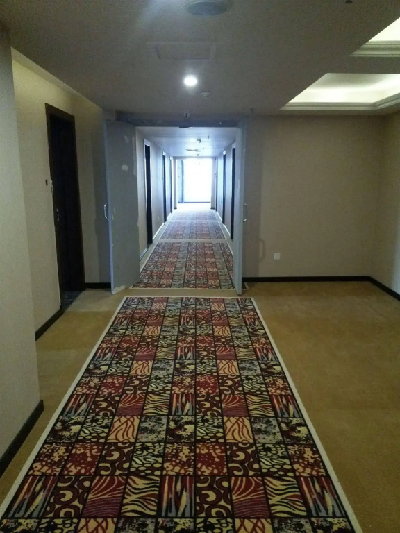 Ruijia Hotel Chengdu Airport - Général