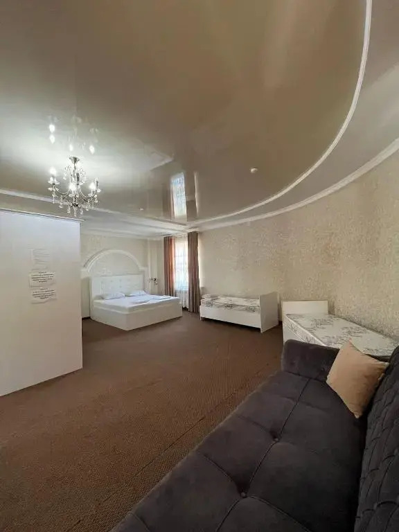 Hotel Emir Plaza - фото 3