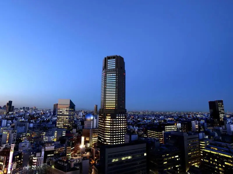 Cerulean Tower Tokyu Hotel 사진 41