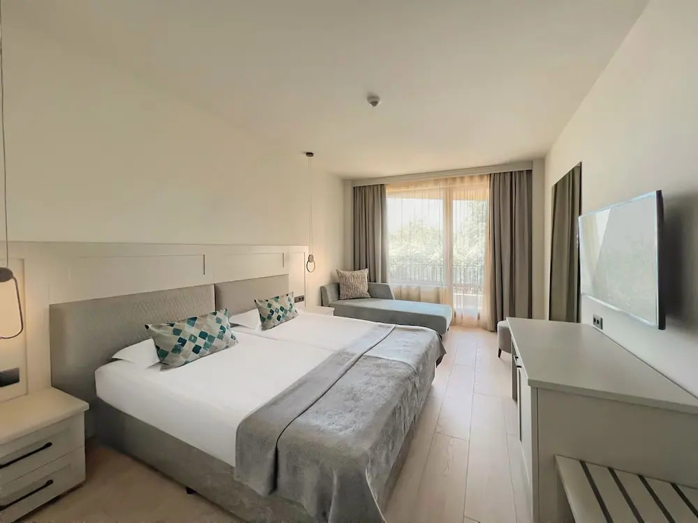 Standard Double room with balcony and with park view (full double bed)
