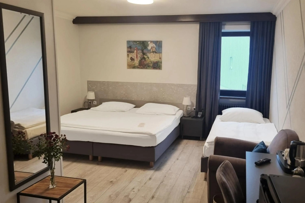 Mercure Hotel Ingolstadt - Général