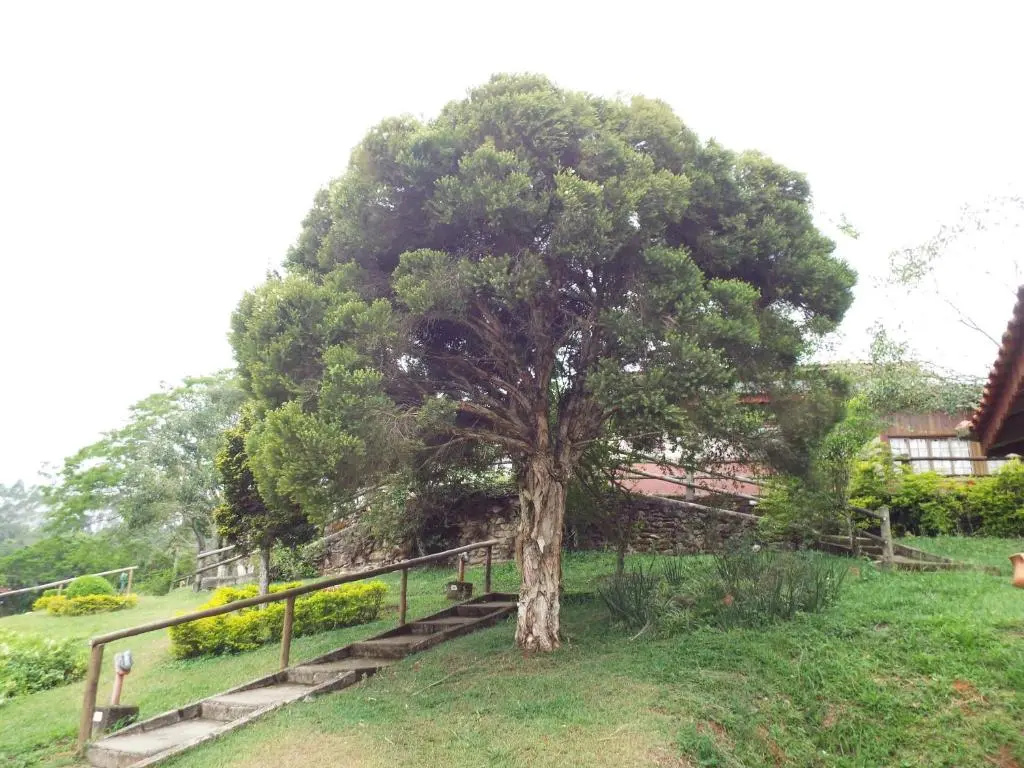 Estrela Da Serra Hotel Fazenda - Chambres