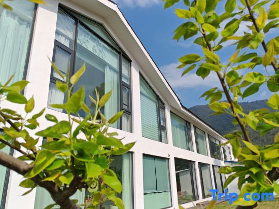 Nanshan Bamboo Sea Dongli Shangshe B&B