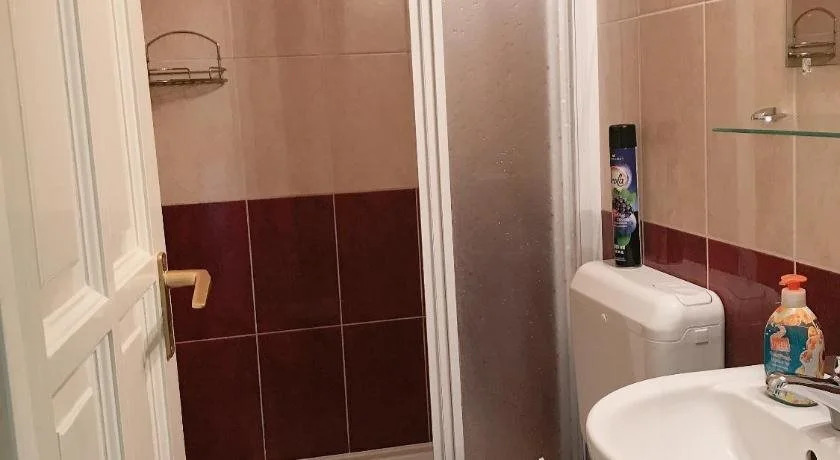 Zsuzsi Vendégház - фото 8