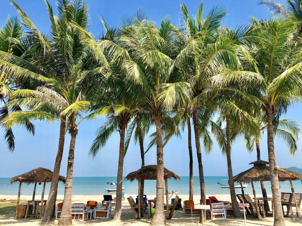 Dolphin Bay Beach Resort - Chambres