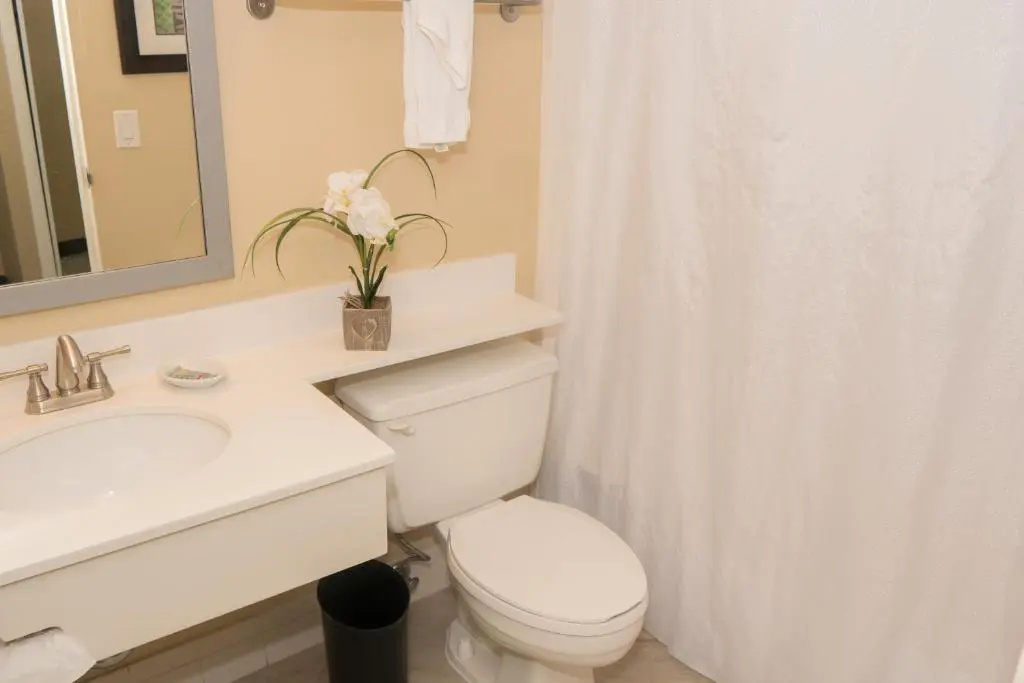 Palm Tree Club Miami Hotel - Chambres