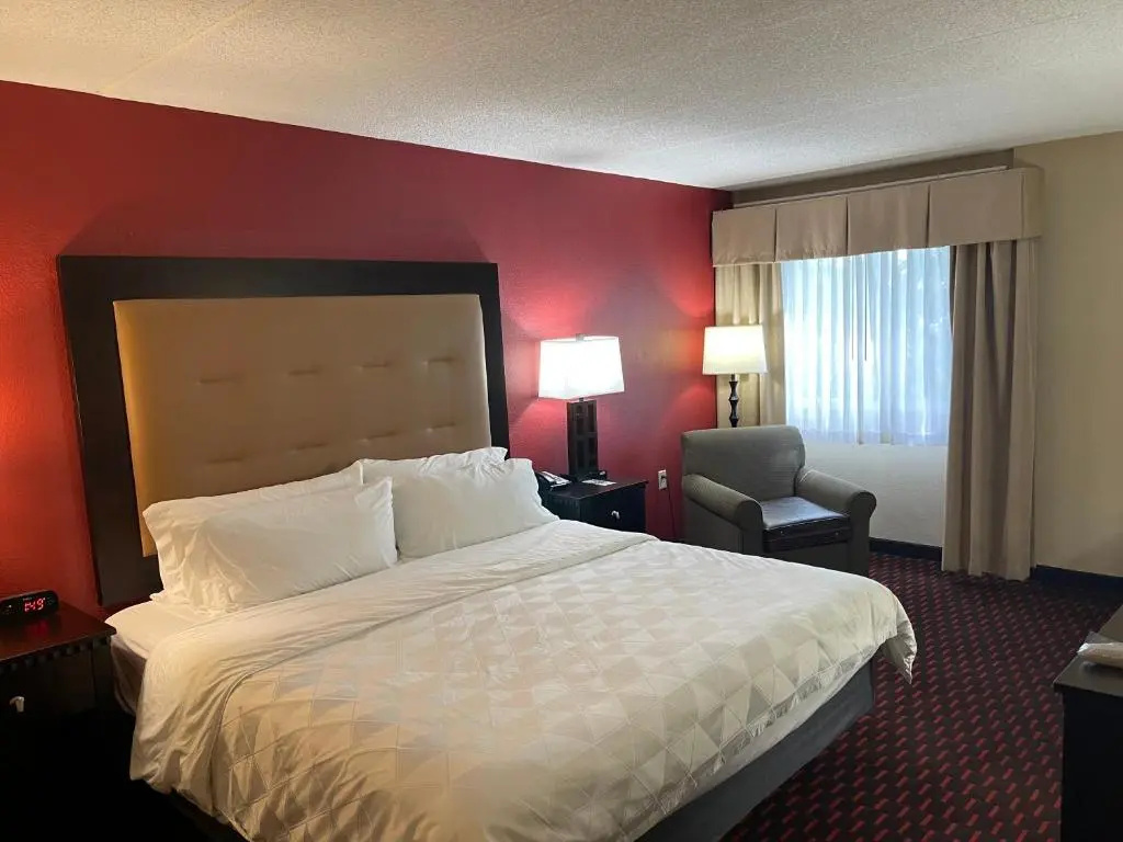 Wyndham Garden Dover - Chambres
