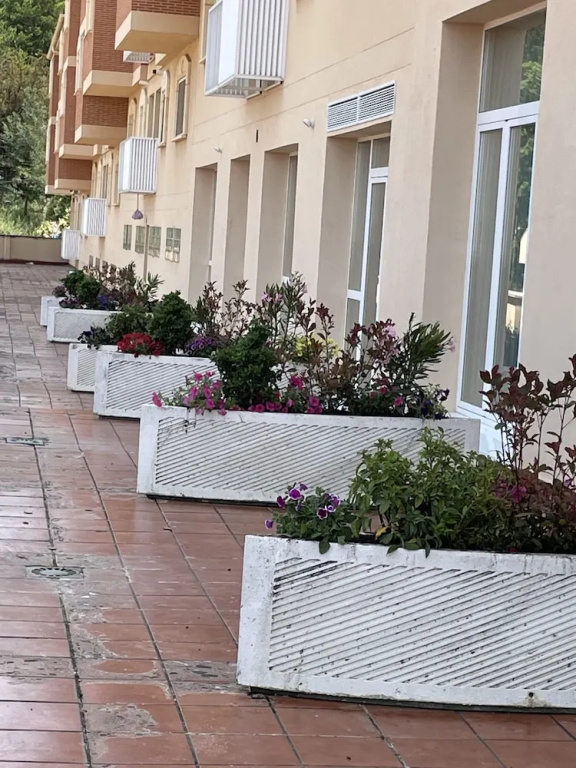 Apartamentos Aljama