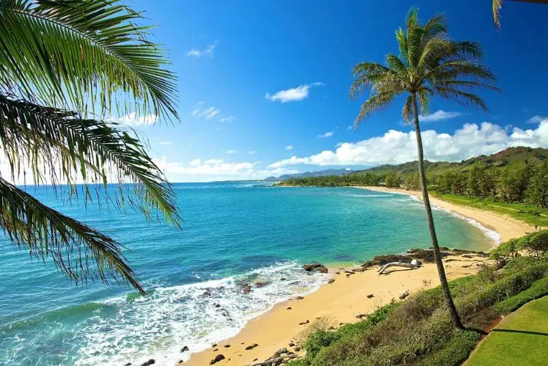 Beach & Waterfront