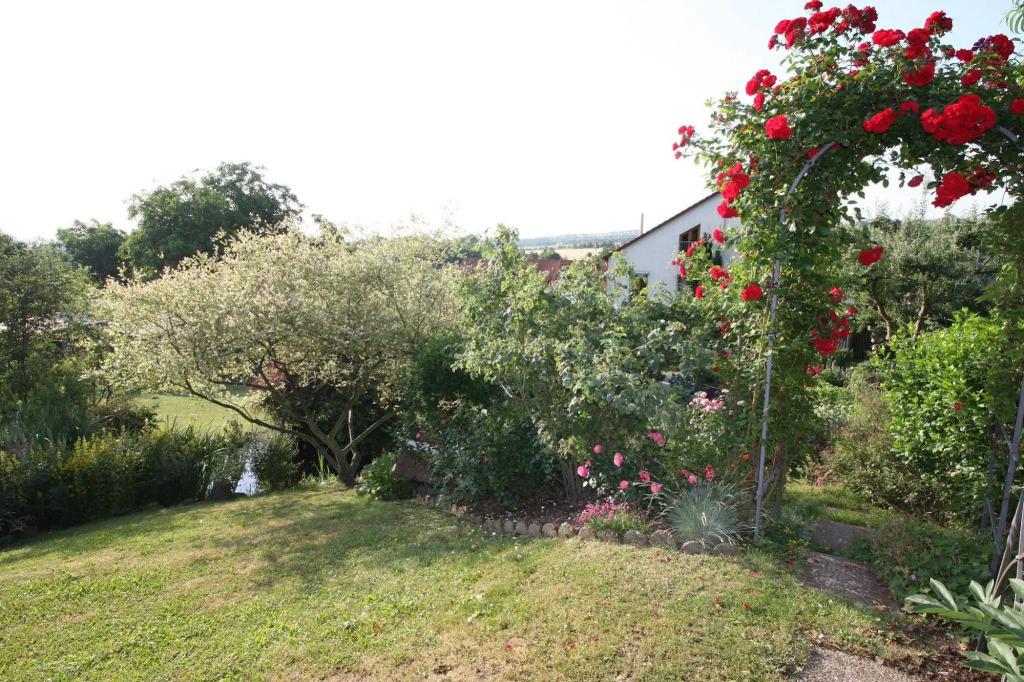 Image 29