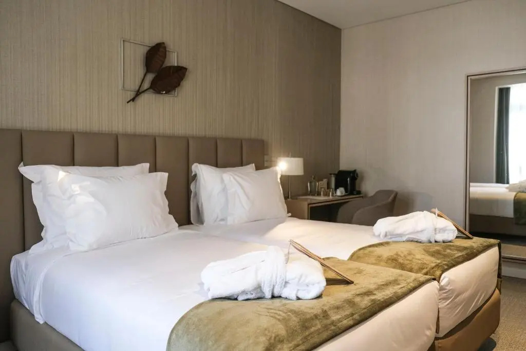 Deluxe Double room (twin beds)