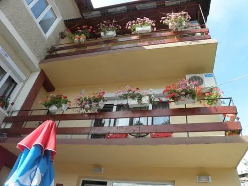 Family Hotel Vityaz House