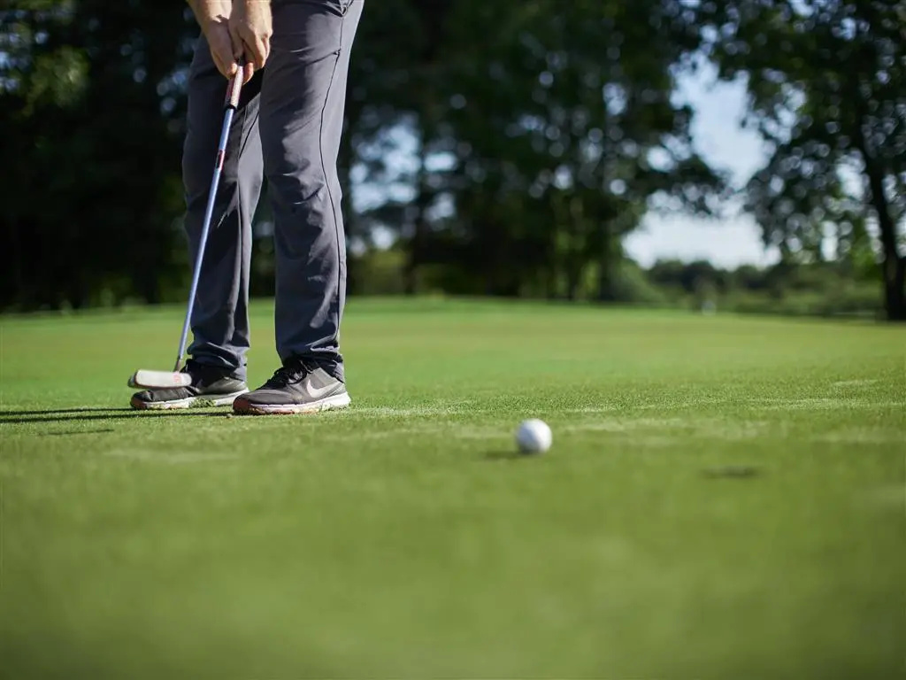 Mercure Newcastle George Washington Hotel Golf and Spa - Général