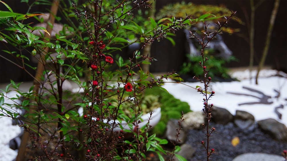 Machiya Stay Kyo Miyabi 사진 18
