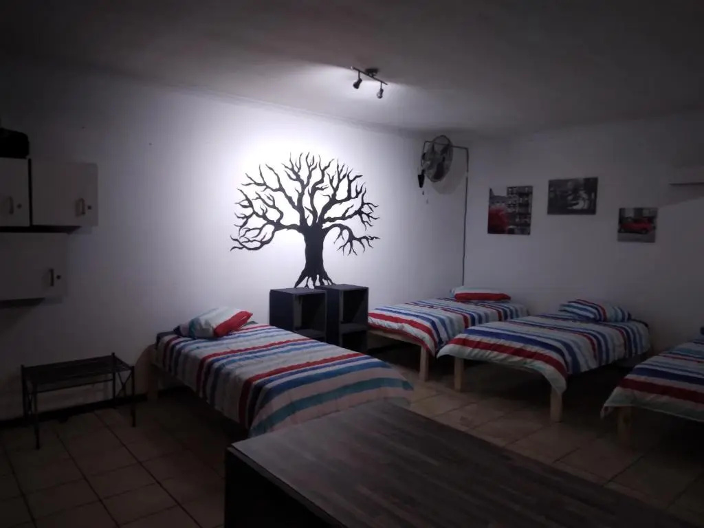 Bed in Dorm