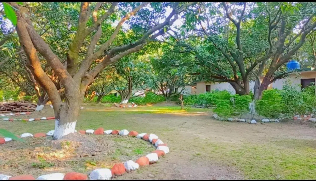 Shekhar Corbett Safari Camp
