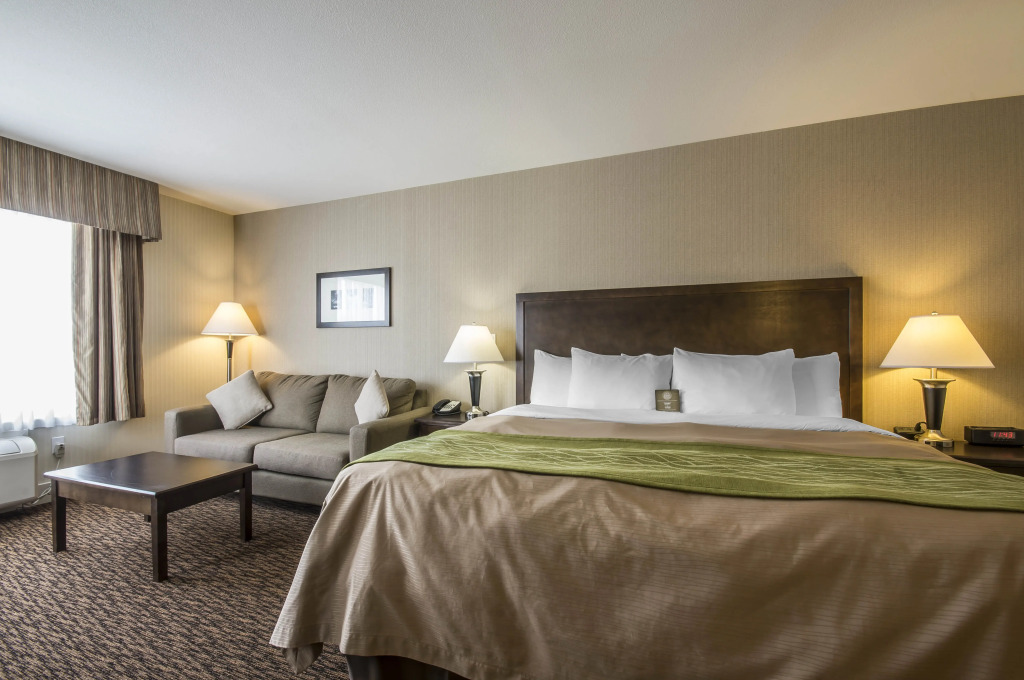 Comfort Inn Surrey Hotel - фото 3