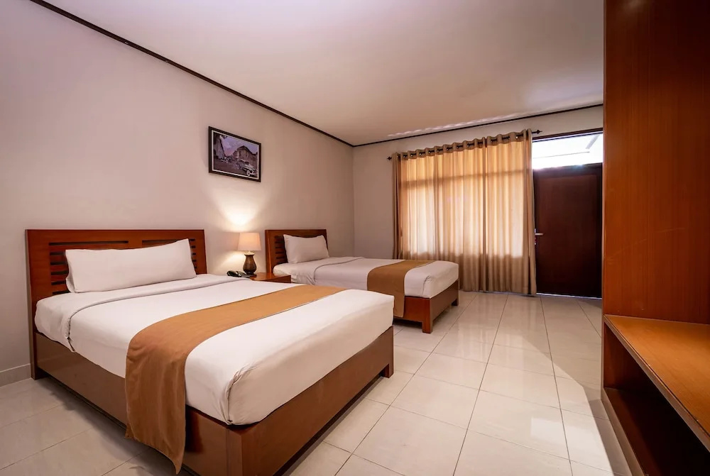 Deluxe Double room with pool view (twin beds)