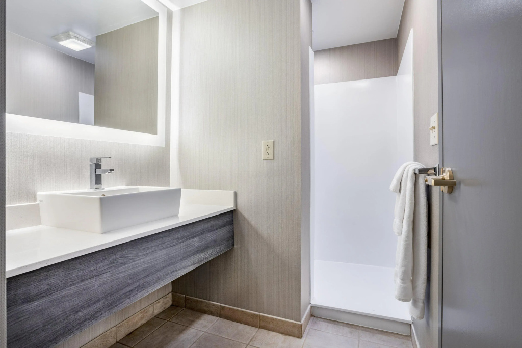 Holiday Inn Lafayette-City Centre by IHG - Général