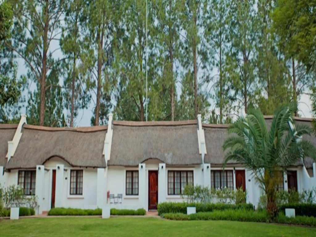 Image 22