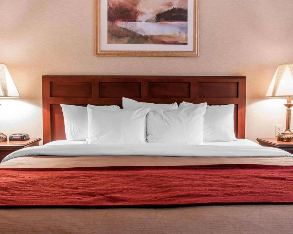 Wingate by Wyndham Livonia - Chambres