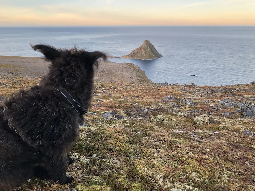 Midnattsol rom og hytter - фото 17