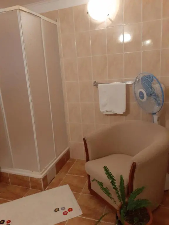 Vila Floare de Colt - Chambres