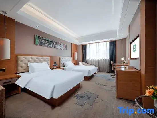 Jin-Tone 101 Hotel Nanning - Chambres