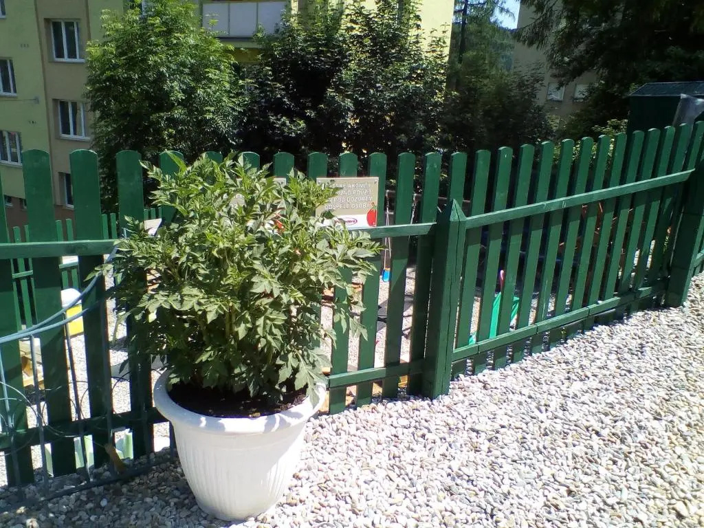 Penzion Pomodoro