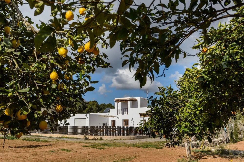 Los Naranjos
